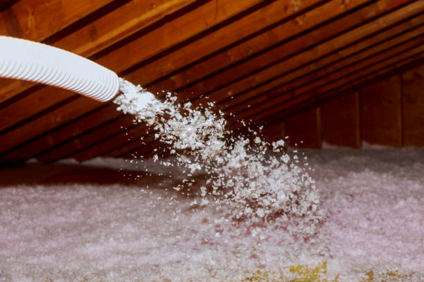 Best Insulation Repair Services  in Madisonville, TN