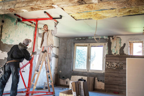 Best Insulation for New Construction  in Madisonville, TN