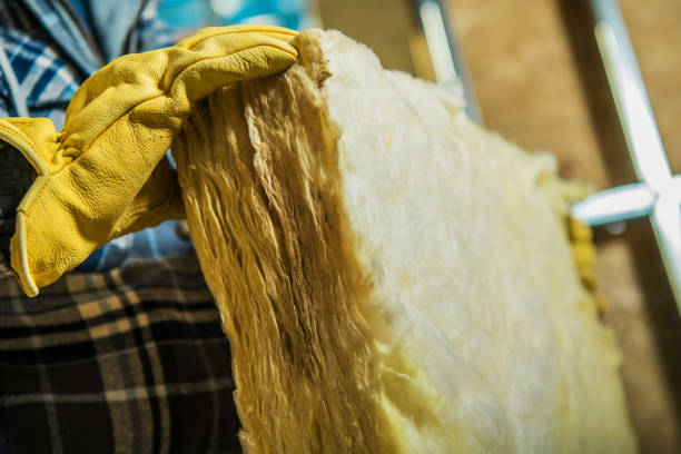 Best Insulation Removal  in Madisonville, TN