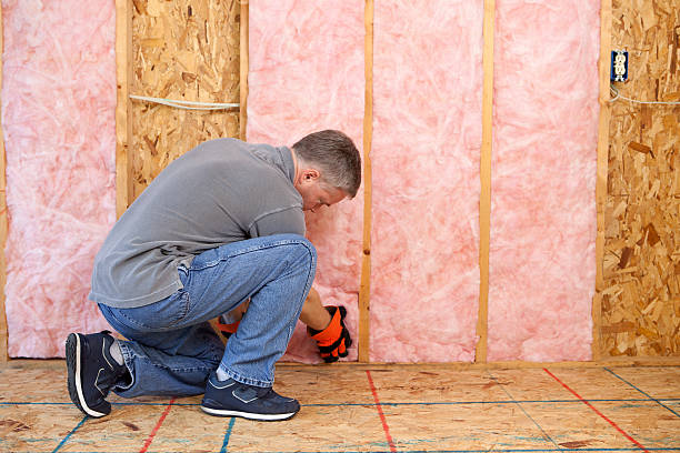 Best Wall Insulation Contractor  in Madisonville, TN