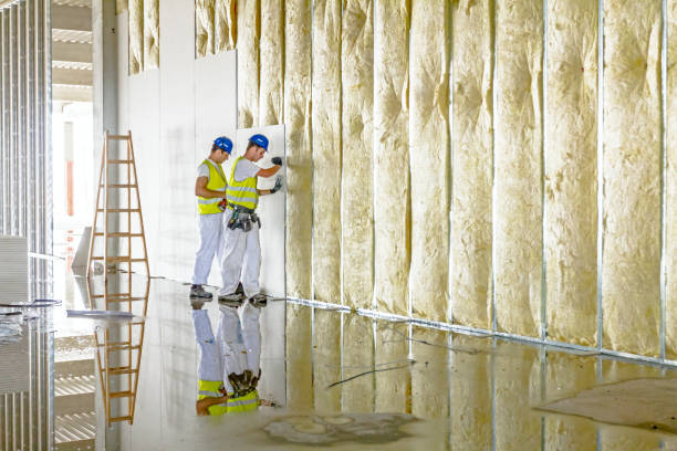 Best Wall Insulation Contractor  in Madisonville, TN